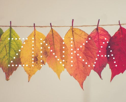 Fall may be here, but the sun hasn’t gone anywhere.